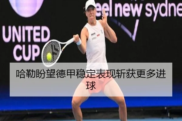 哈勒盼望德甲稳定表现斩获更多进球
